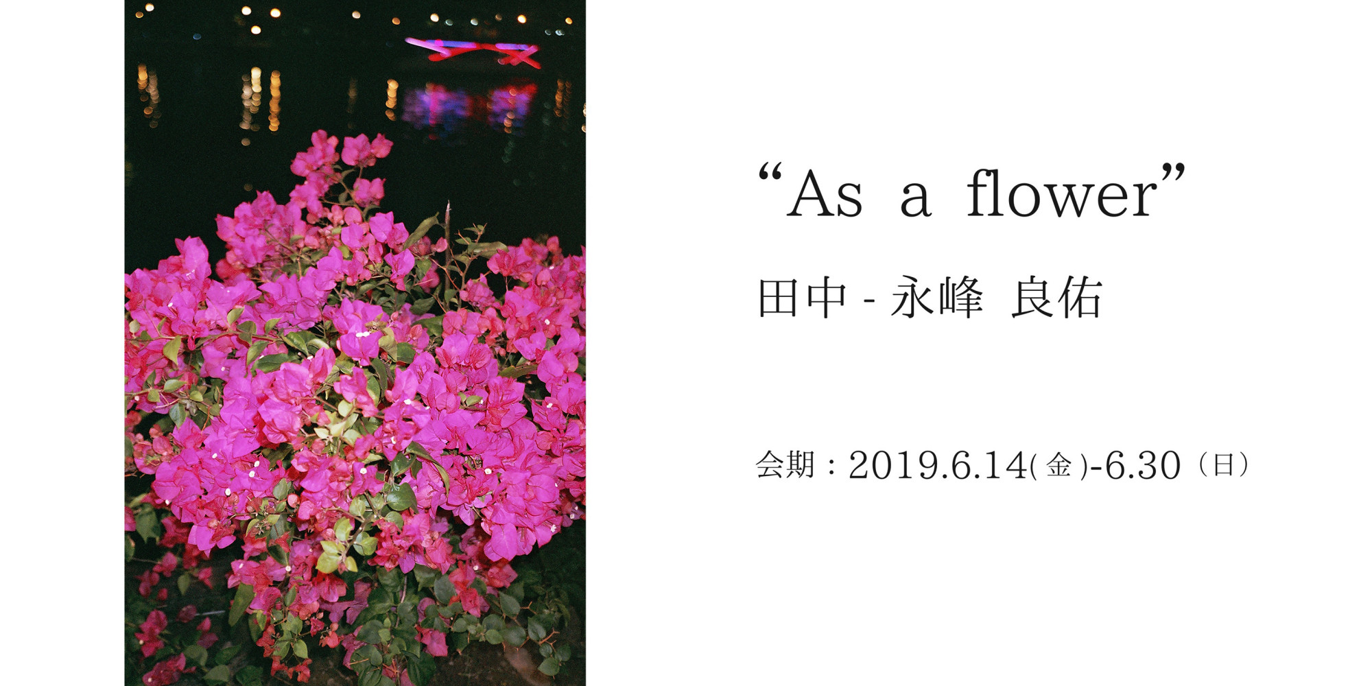 田中-永峰 良佑個展「As a flower」