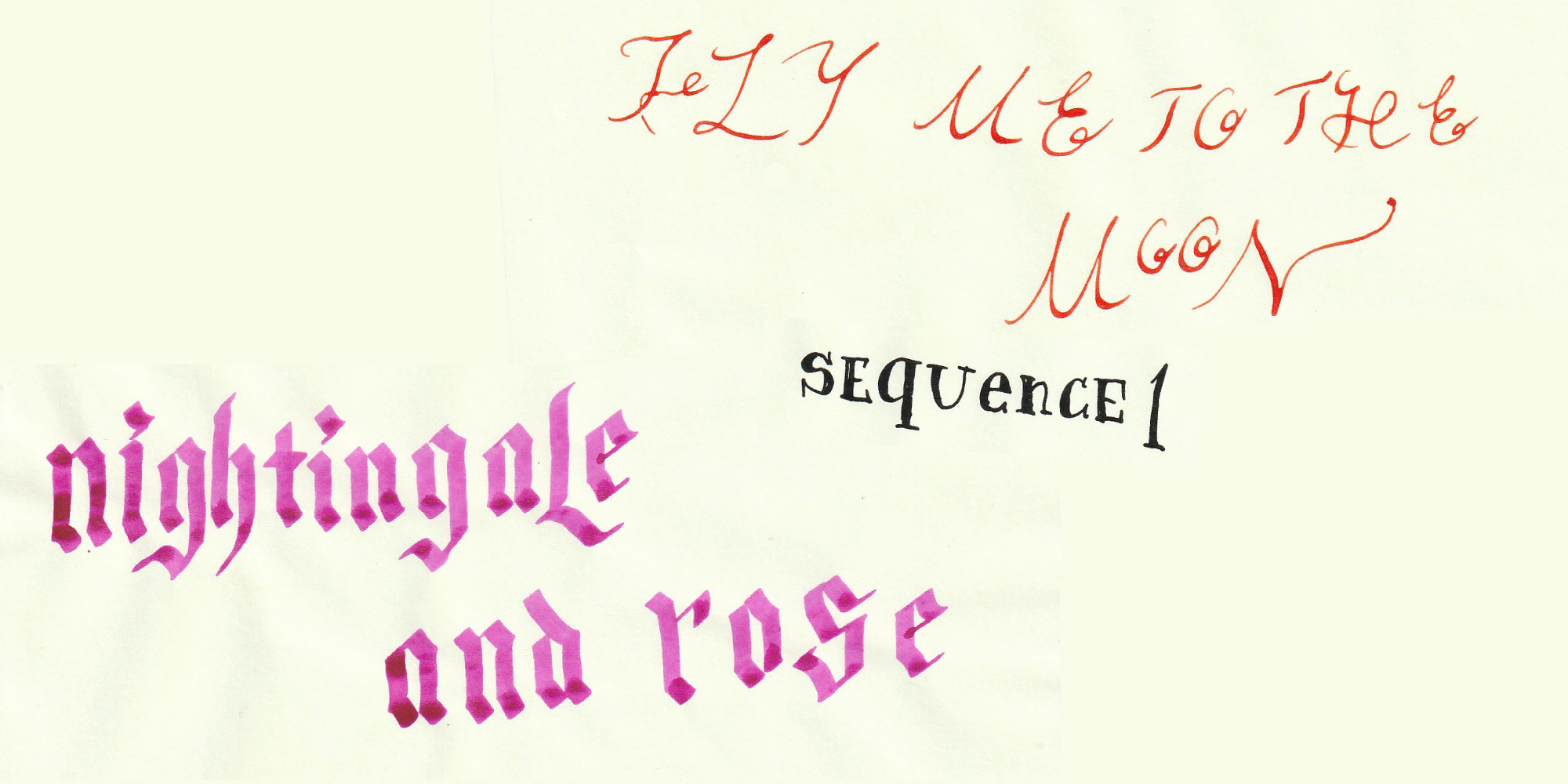 楊博個展「”Fly me to the moon” sequence1:Nightngale and Rose」